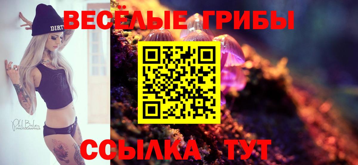 Галлюциногенные грибы мухоморы Семёнов